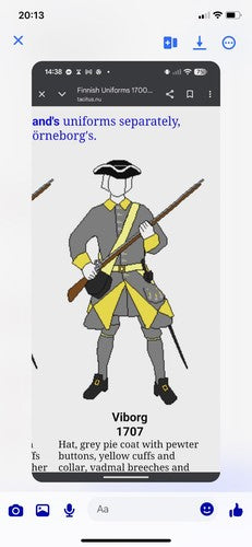 18 Miniature Swedish Battalion For DAN B-BROWN (figures Sent By Customer)