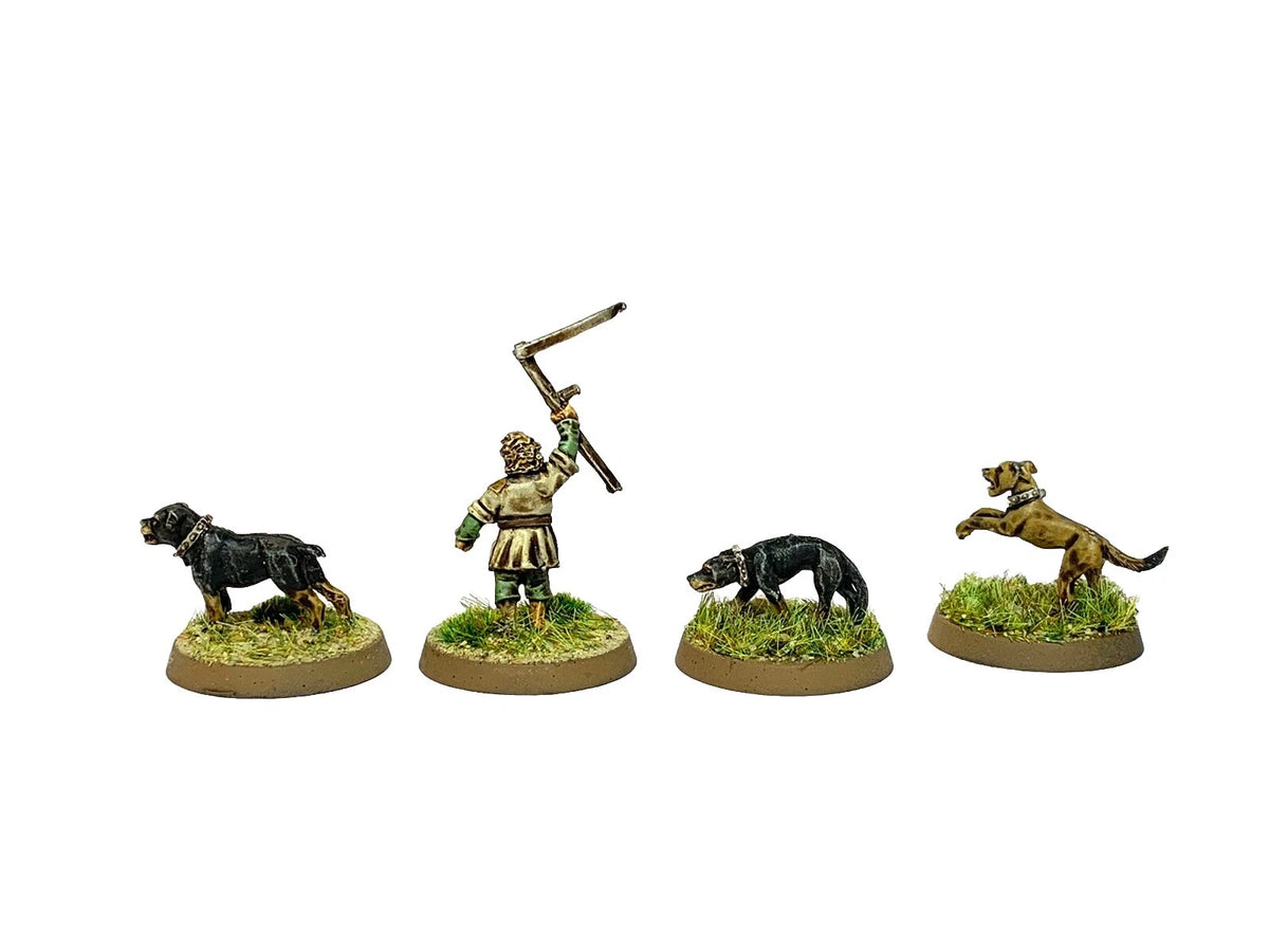 FARMER MAGGOT & HOUNDS