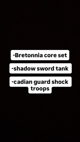 Bretonnia Core Set, Shadow Sword Tank, Cadian Shock Troops For Michael Theodolu