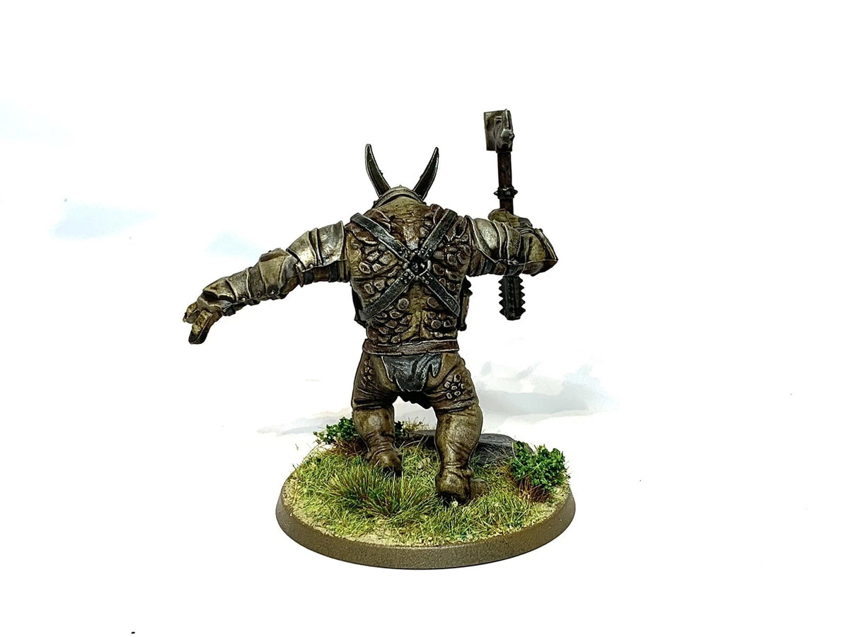 MORDOR ARMOURED TROLL