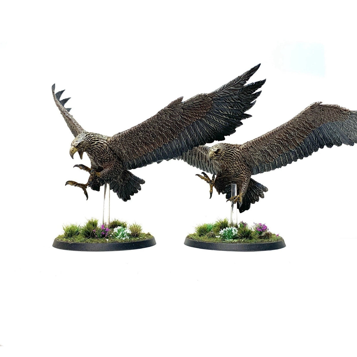 GREAT EAGLES OF THE MISTY MOUNTAINS